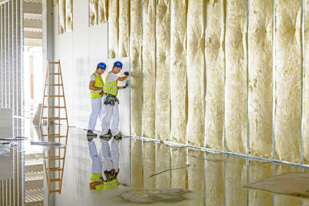 Best Blown-in Insulation in Carolina Beach, NC